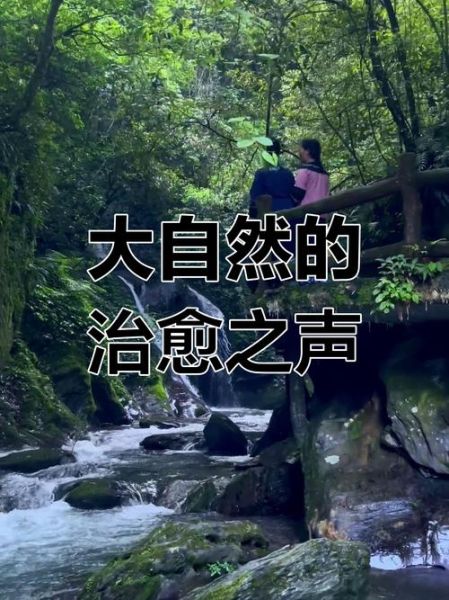 大自然如何疗愈情绪_自然声音真的有用吗