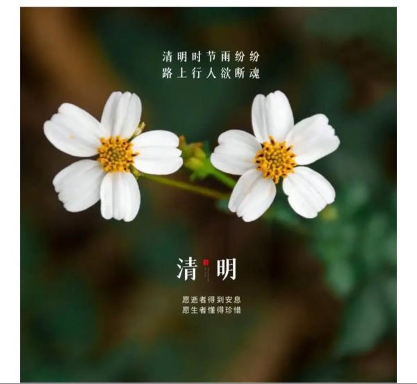 清明节如何寄托哀思_清明节为什么让人泪目