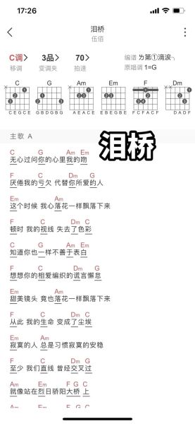 泪桥表达什么情感_泪桥歌词含义解析