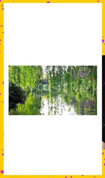 李白诗歌情感表达有哪些_如何读懂李白诗中的情感