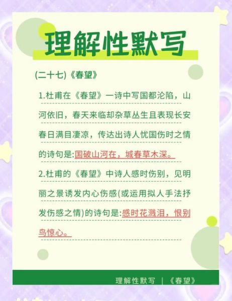 杜甫为何忧国忧民_杜甫诗歌情感解析