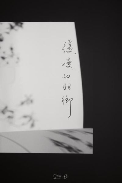 归路情感表达_如何写出走心的归途文案