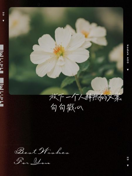 释然情感表达_如何真正放下