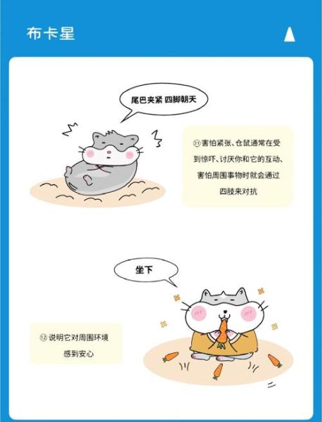 小鼠怎么表达情绪_小鼠情绪识别方法