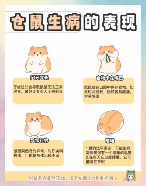 小鼠怎么表达情绪_小鼠情绪识别方法