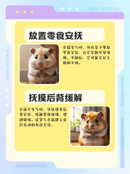 小鼠怎么表达情绪_小鼠情绪识别方法