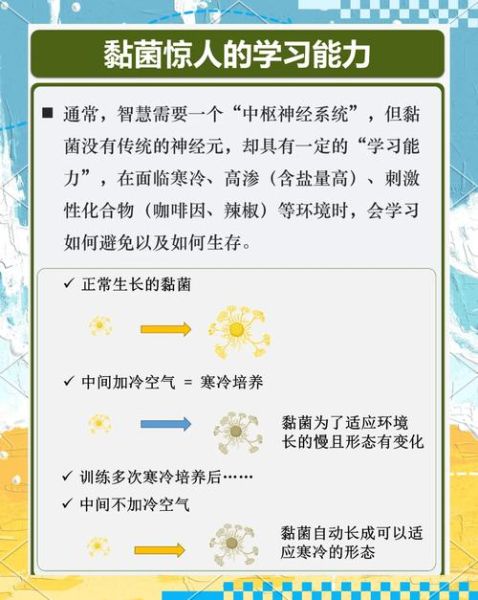 粘液质性格适合做什么工作_如何与粘液质相处