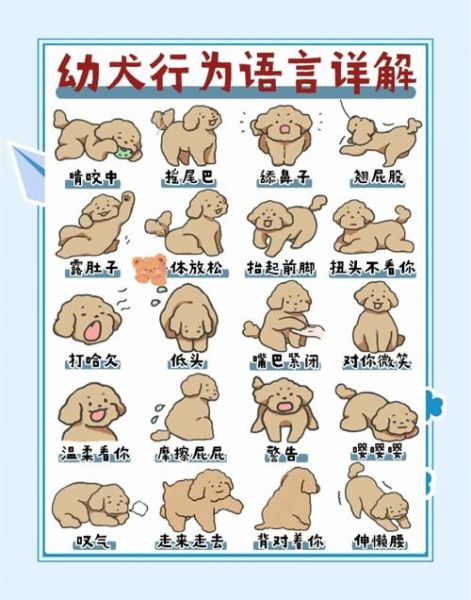 动物为什么会抑郁_如何识别宠物情绪异常