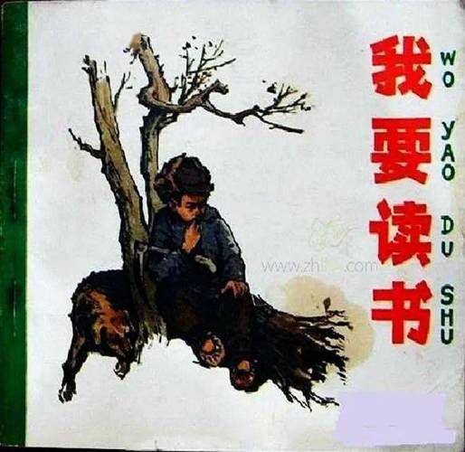 高玉宝为什么要读书_高玉宝读书故事启示