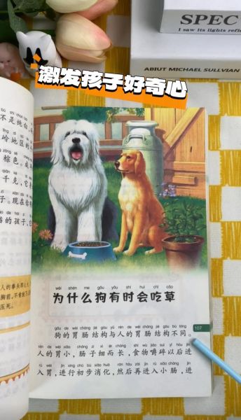 读书版百科是什么_如何使用读书版百科