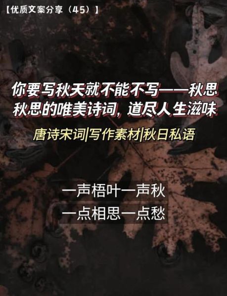 秋天如何表达思念_秋季情感文案怎么写