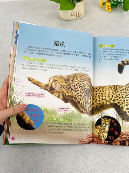 动物大百科必读书籍有哪些_适合孩子阅读吗