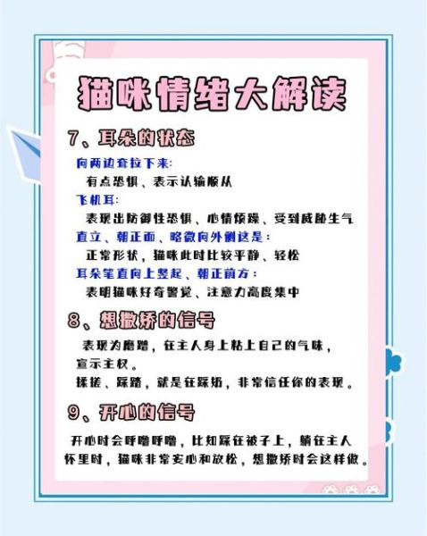 动物如何表达情感_宠物情绪识别方法