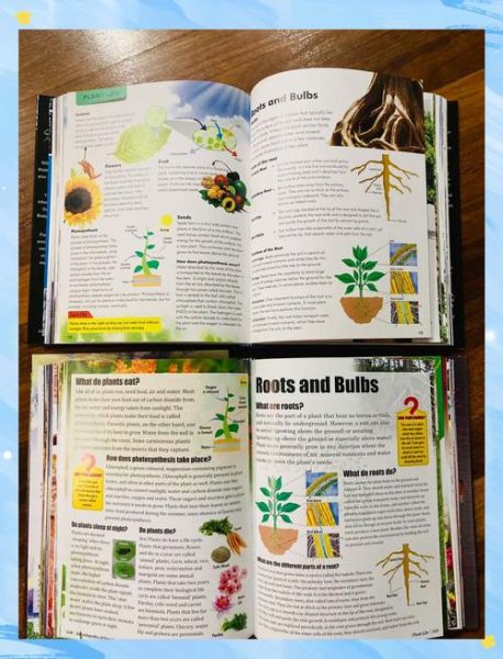 快乐读书娃少儿百科全书适合几岁孩子_如何挑选