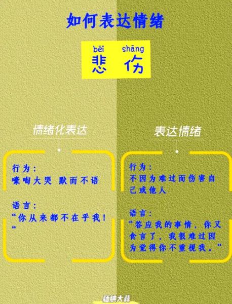 哀乐如何表达情感_哀乐情感表达方式