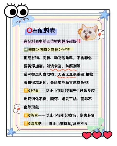 如何挑选适合的猫粮_猫咪不吃猫粮怎么办