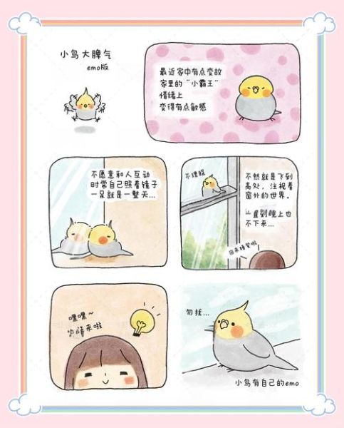 小鸟为什么突然叫个不停_如何安抚小鸟情绪