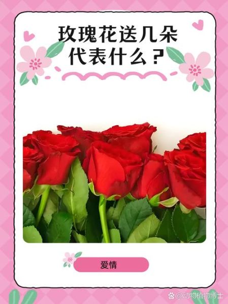 花语代表什么情感_如何选花表达心意