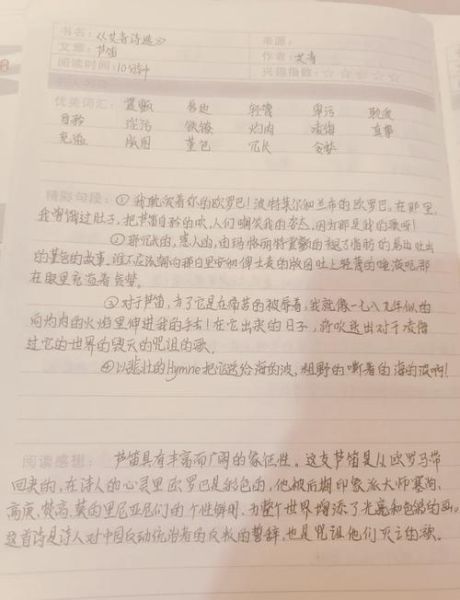 芦笛表达情感_如何用芦笛吹出思念