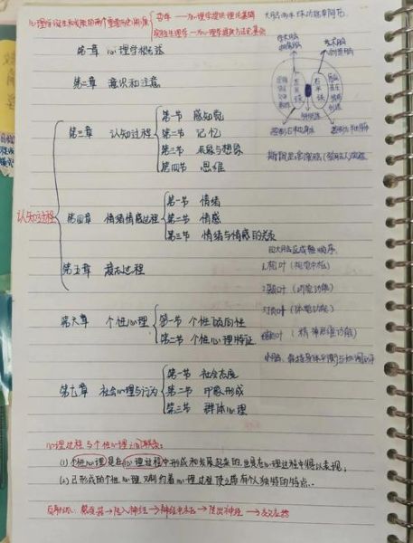 心理学招教考试怎么备考_心理学招教考试重点有哪些