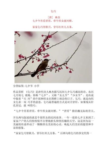 乞巧表达了作者怎样的情感_林杰七夕诗情感解析