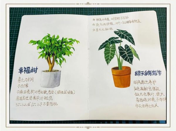 植物百科全书读书笔记_适合初学者的植物养护技巧
