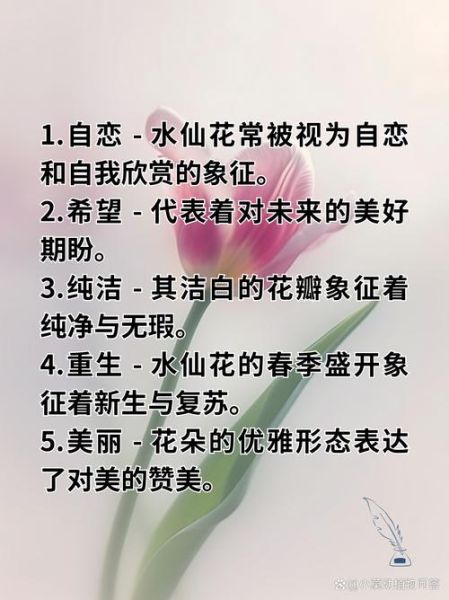 水仙花语是什么_水仙代表什么情感