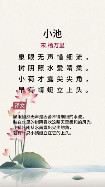小池表达什么情感_杨万里小池的情感基调