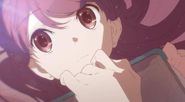 什么是shelter情感表达_如何正确传递