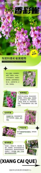 植物百科必读书系有哪些_如何挑选适合自己的植物百科