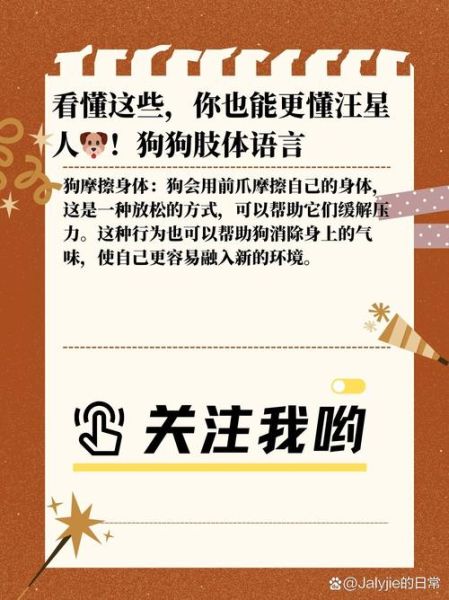 狗狗摇尾巴是开心吗_狗狗情感表达有哪些