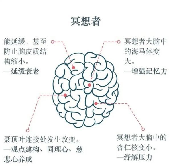 冥想心理学是什么_冥想如何改变大脑