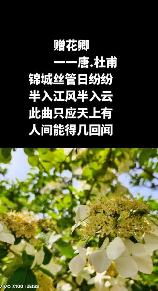 赠花卿表达了怎样的情感_诗人为何赠花
