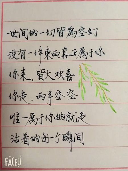 写作是情感的表达_如何写出打动人心的文字