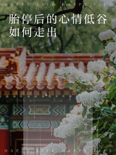 风雨之后情感表达_如何走出低谷