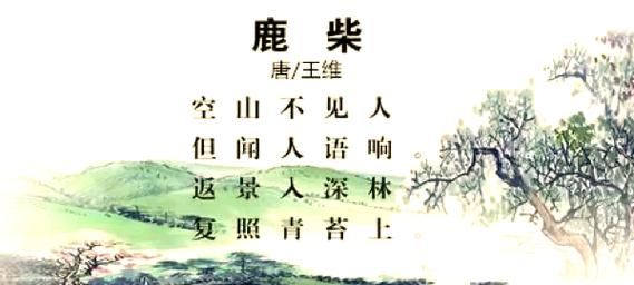 鹿柴表达了什么情感_王维诗中的孤独与宁静