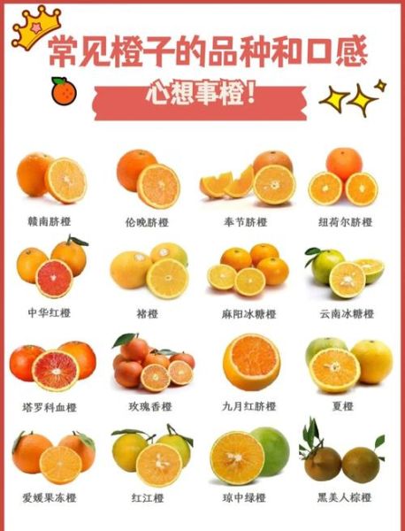 橙子代表什么情感_橙子花语暗示什么