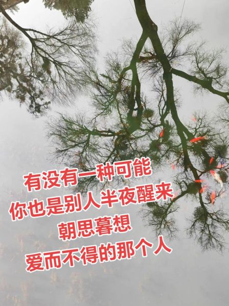 朝思暮想是什么感觉_如何表达朝思暮想