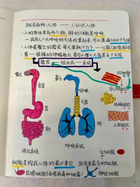 医学百科全书怎么读_如何高效做笔记
