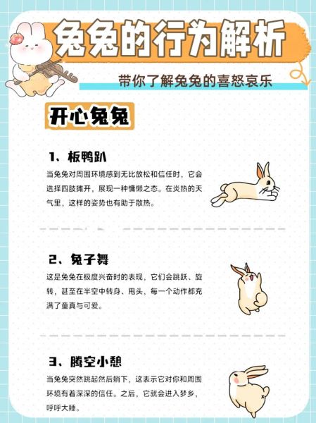 兔子开心时有什么表现_如何判断兔子是否快乐