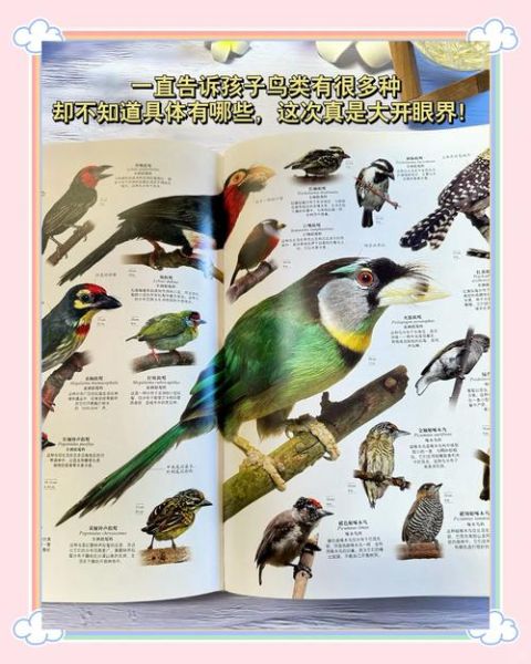 DK博物大百科点读书适合几岁孩子_DK博物大百科点读功能怎么用