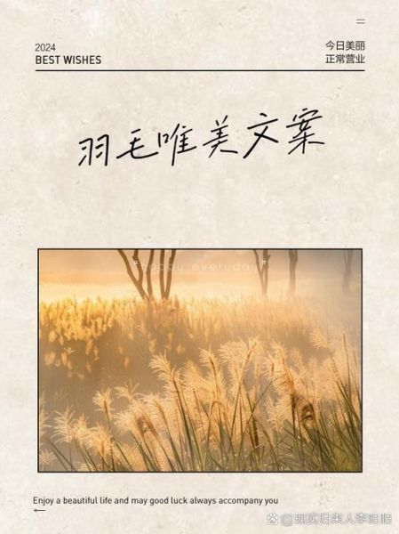 羽毛代表什么情感_如何用羽毛表达爱意