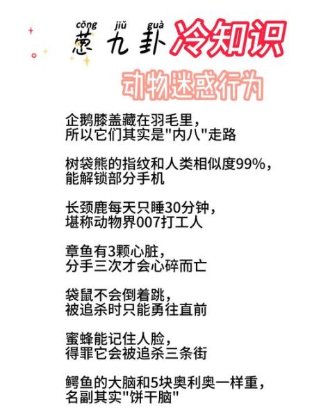 动物百科_有哪些冷门知识