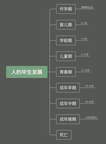 人的毕生发展阶段有哪些_如何影响个体成长