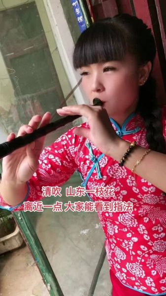 唢呐为什么能表达情感_唢呐音色特点