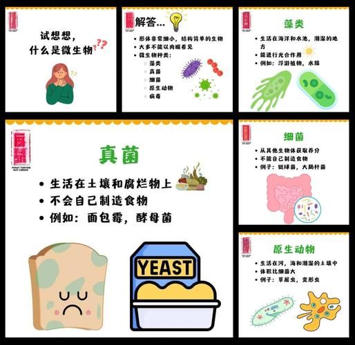 微生物有哪些种类_微生物对人类有害吗