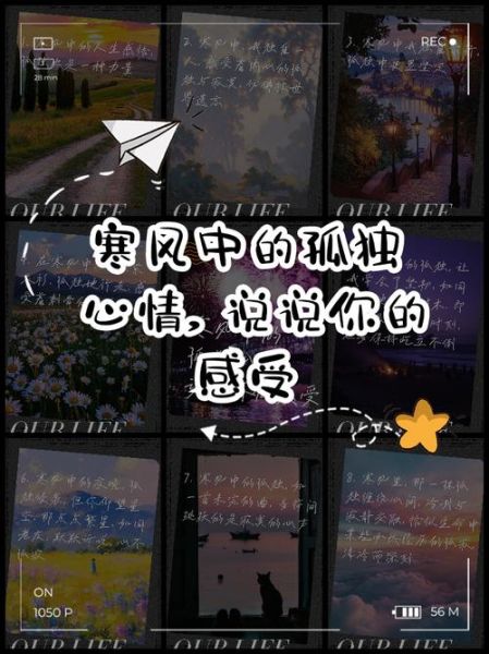 北境情感表达_如何面对孤独与寒冷