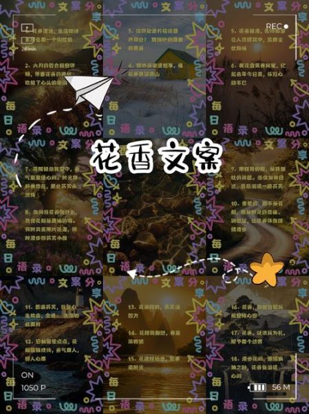 花香如何表达情感_花香代表什么情感