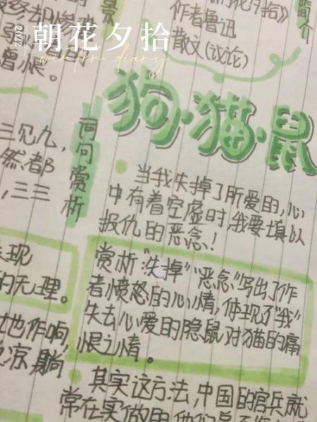 动物百科全书读书笔记_如何高效做动物知识卡片