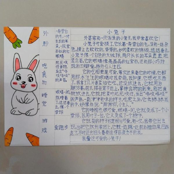 动物百科全书读书笔记_如何高效做动物知识卡片